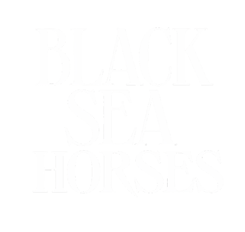 Logotipul Black Sea Horses