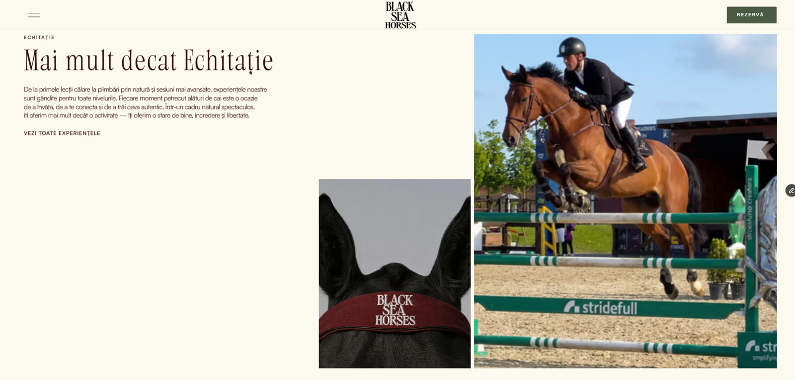 blackseahorses.ro: homepage live
