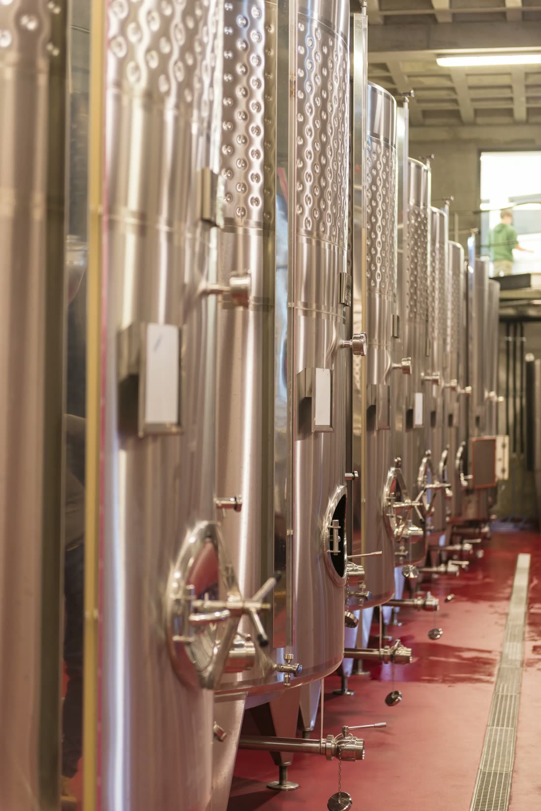 Bazinele de inox pentru fermentare